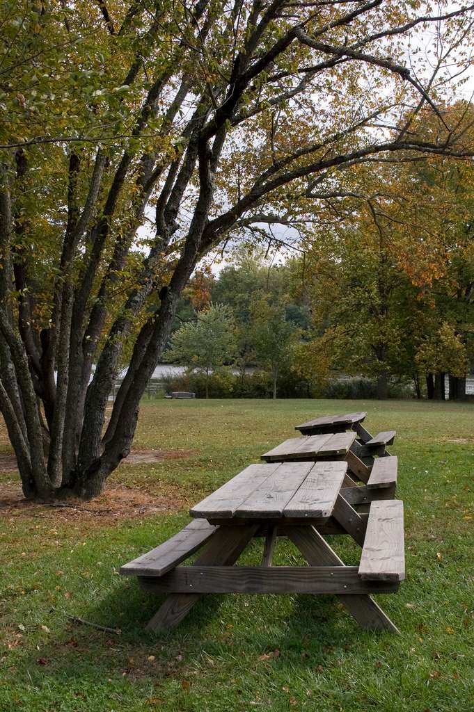 Lums Pond State Park
