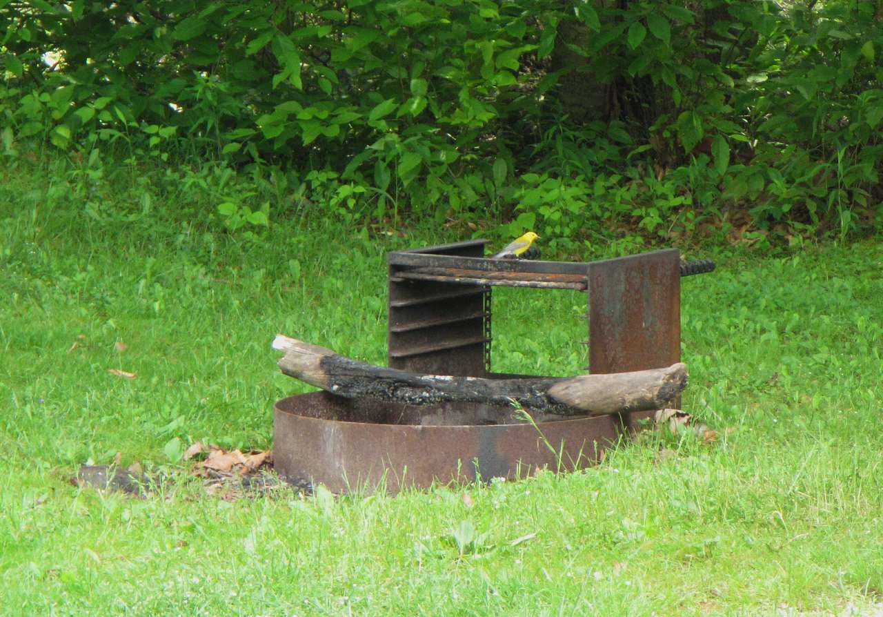 Big Run Campground