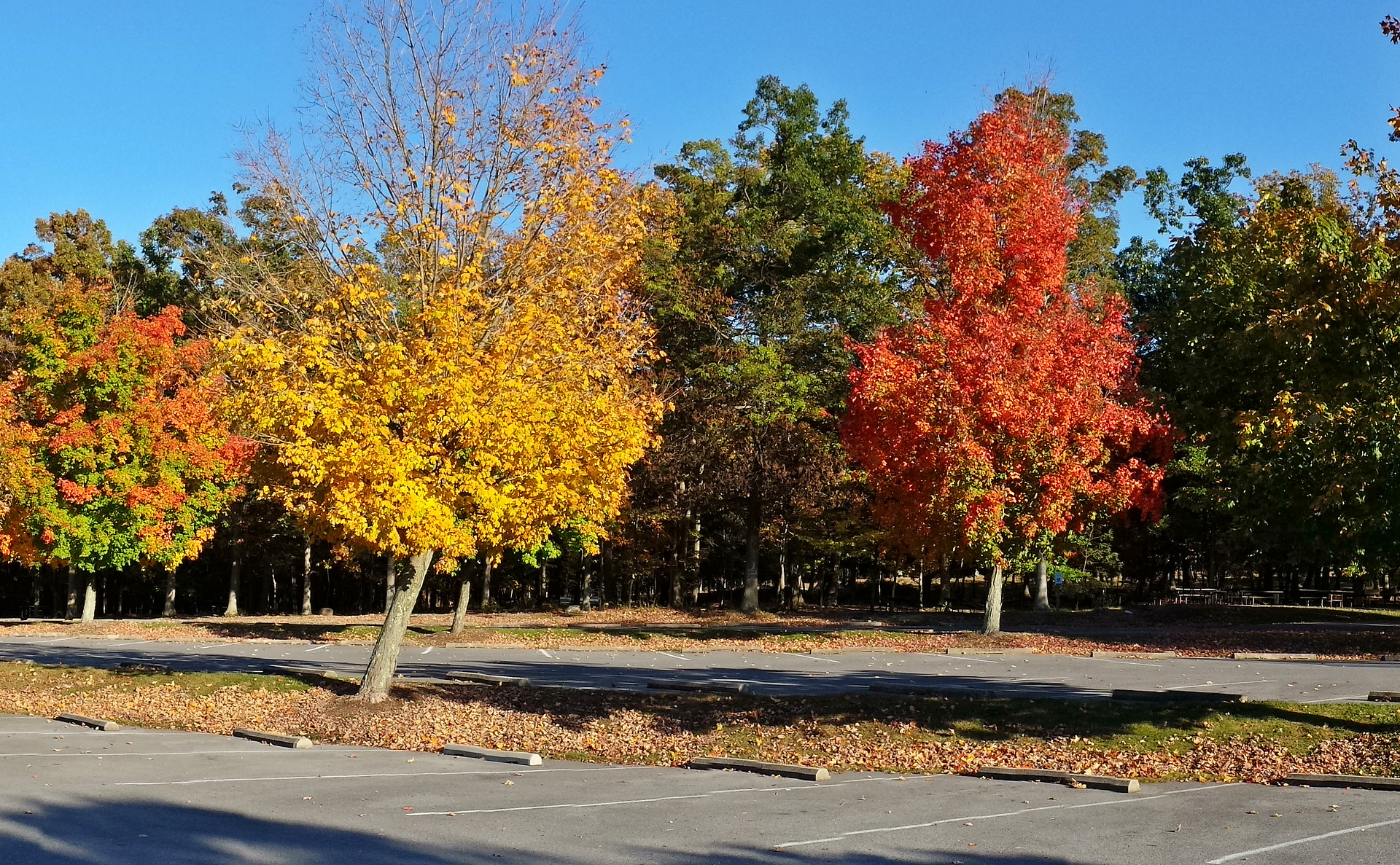 Greenbrier State Park