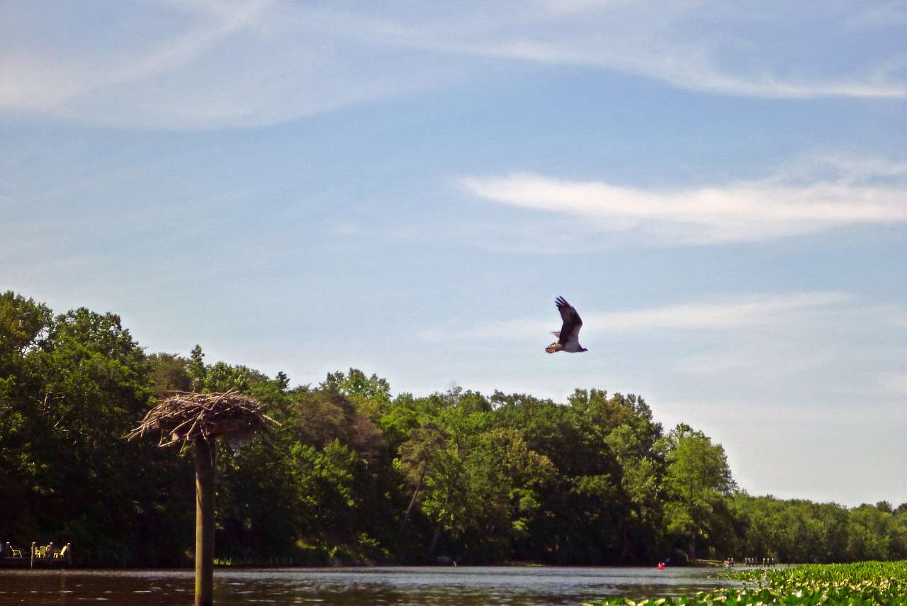 Martinak State Park