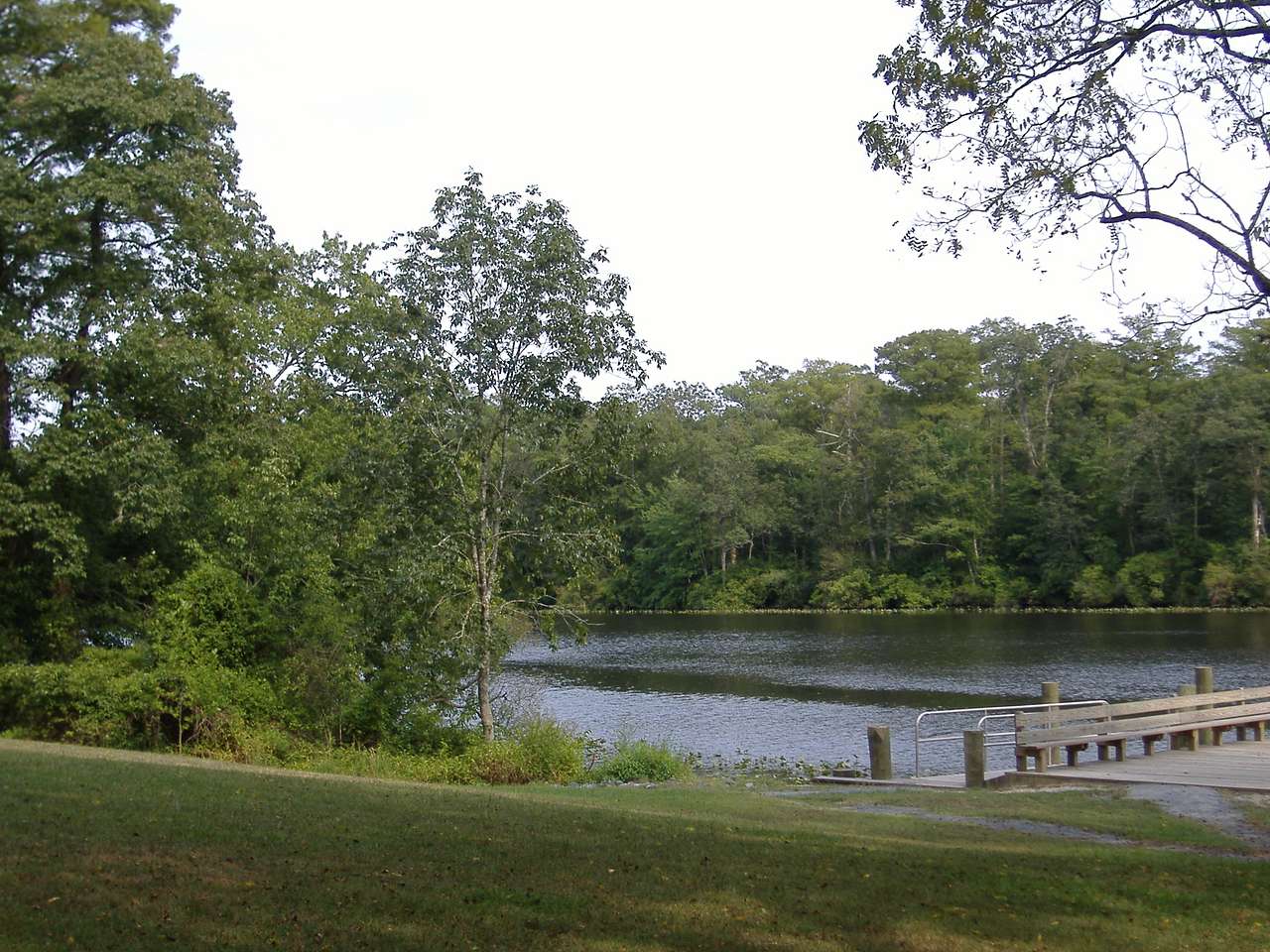 Pocomoke River Campground