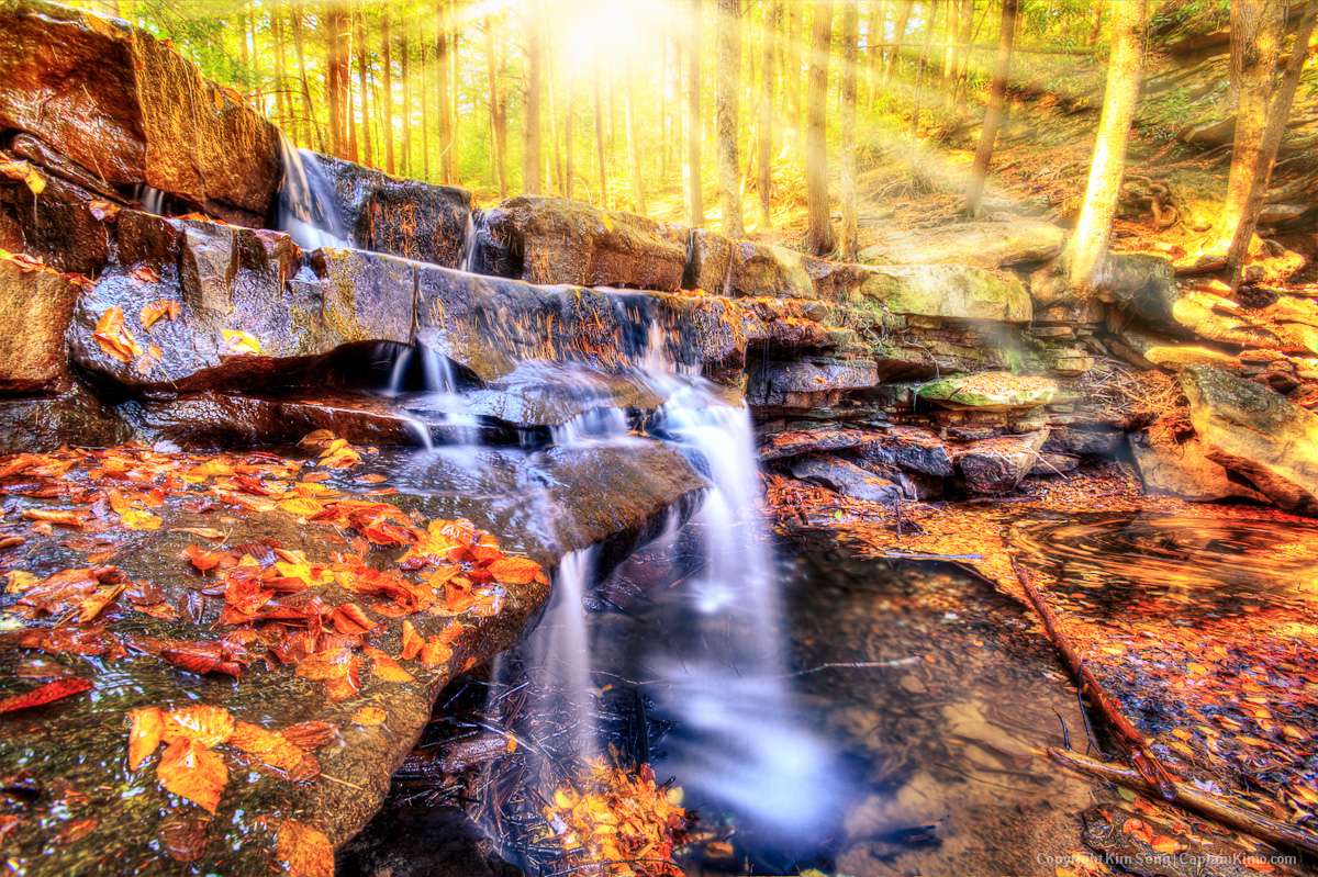 Swallow Falls State Park