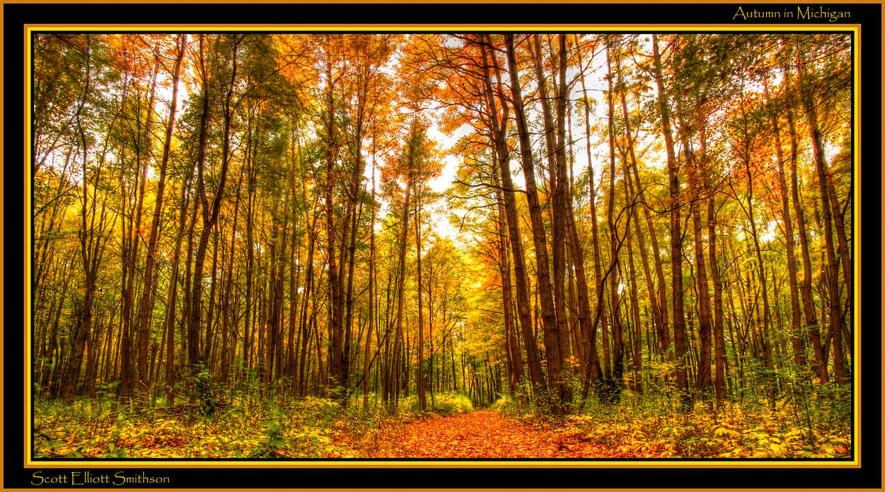 Algonac Campground