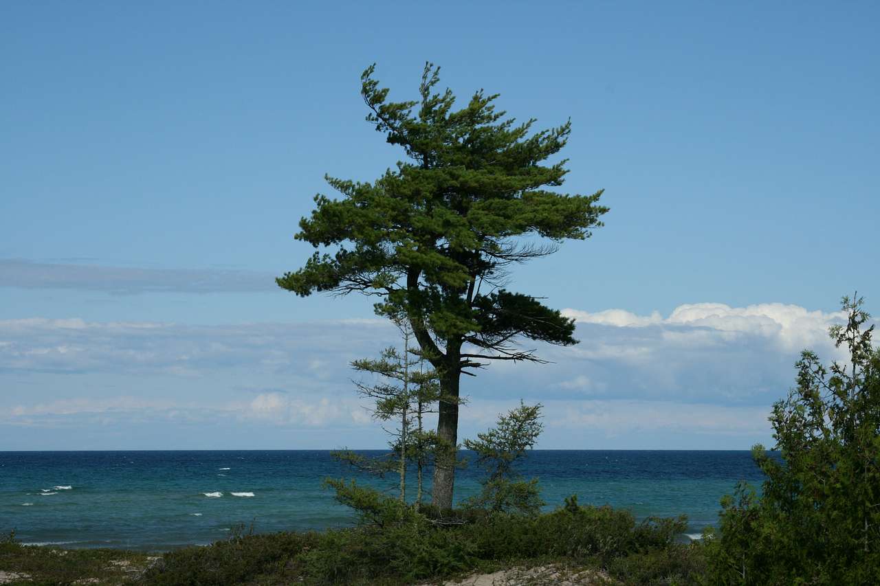 Hoeft State Park