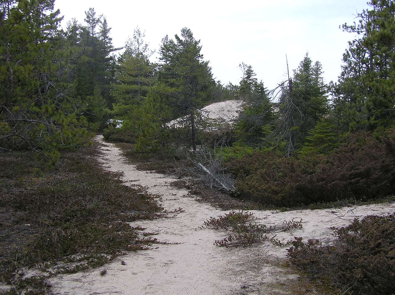 Hoeft State Park