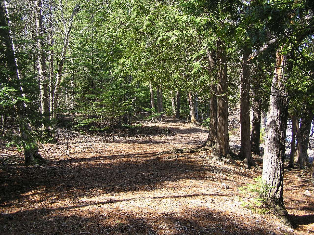Onaway State Park