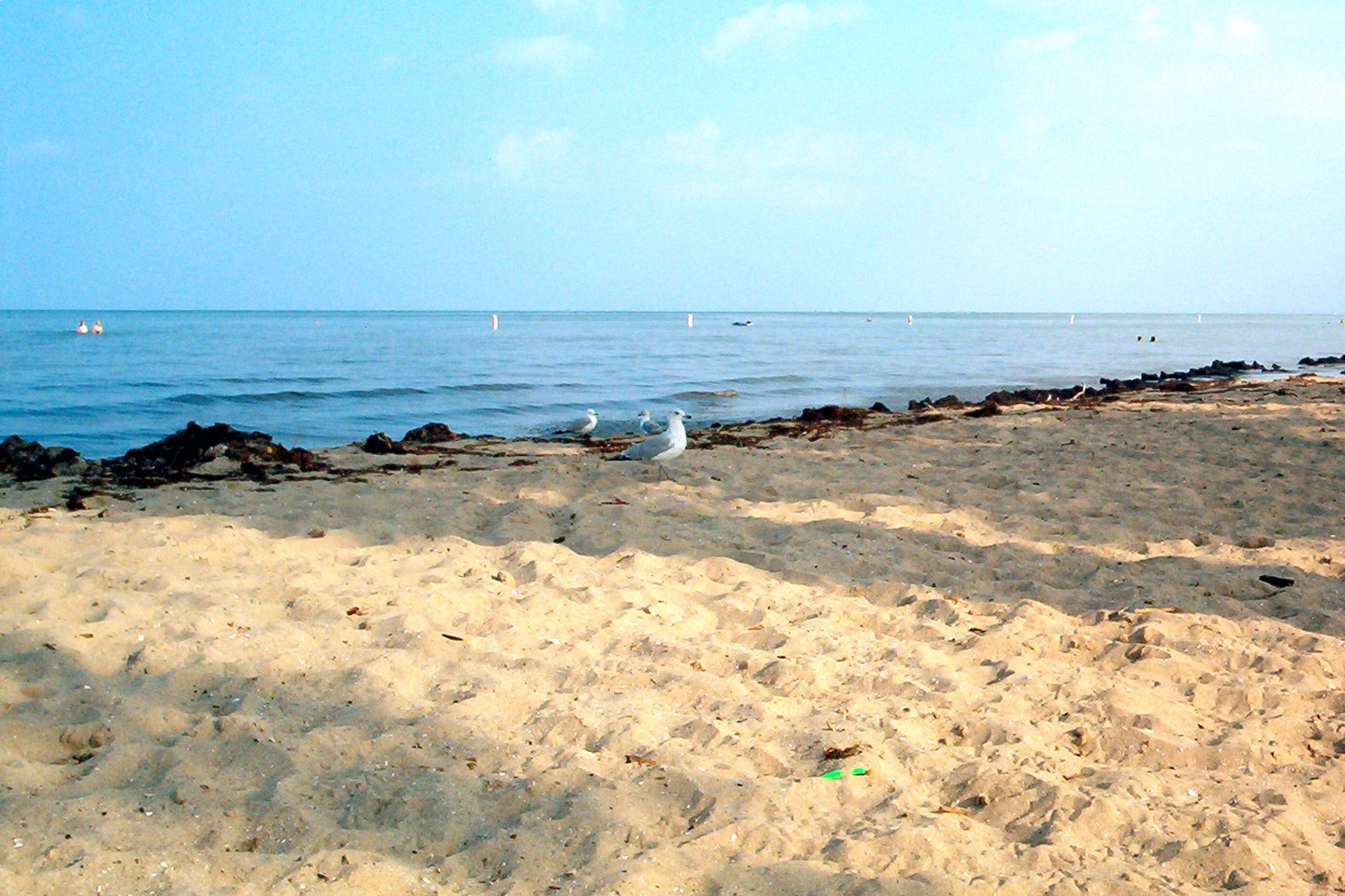 Sterling State Park