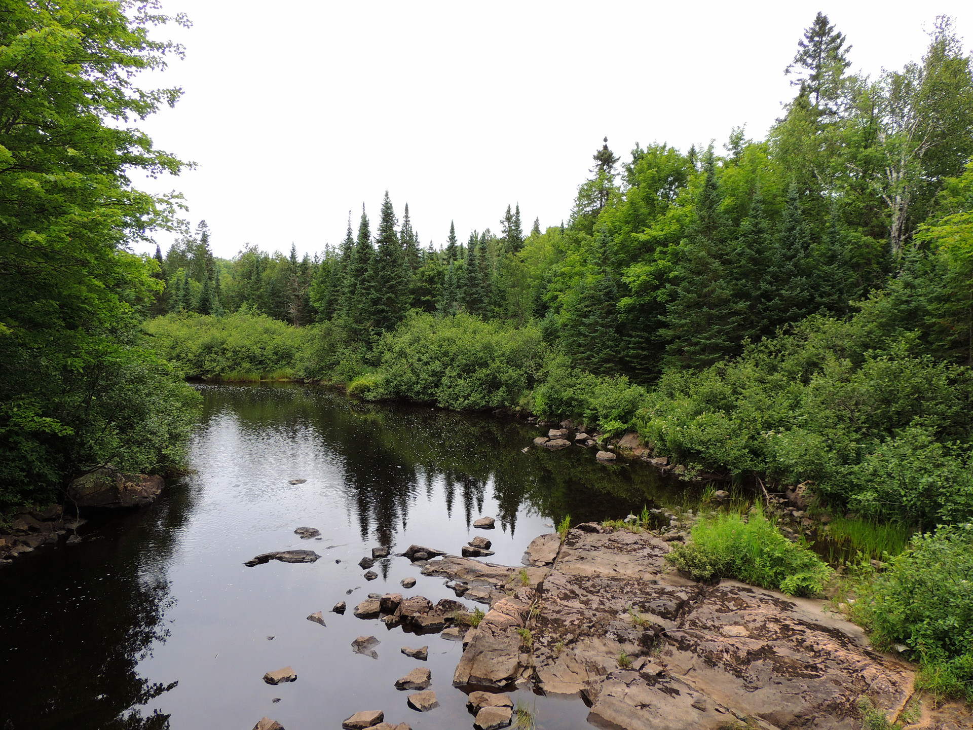 Van Riper State Park