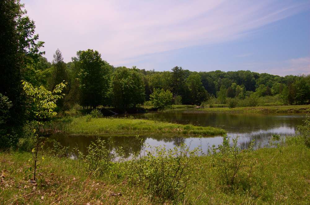 Diamond Point