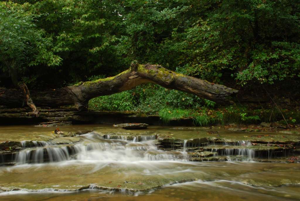 East Fork State Park