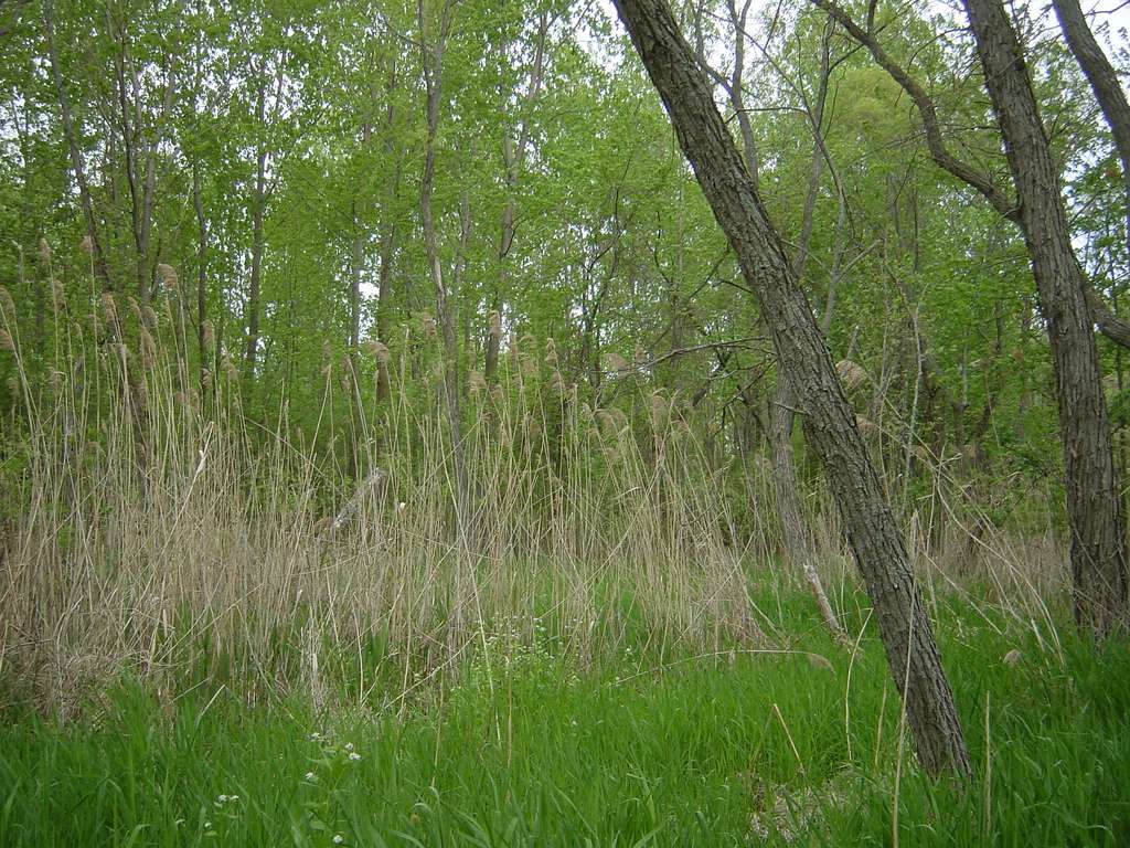 East Harbor Campground
