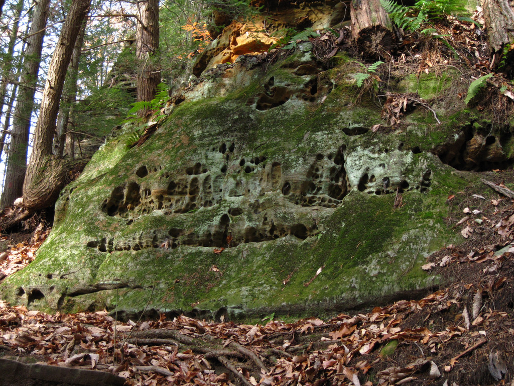Hocking State Forest
