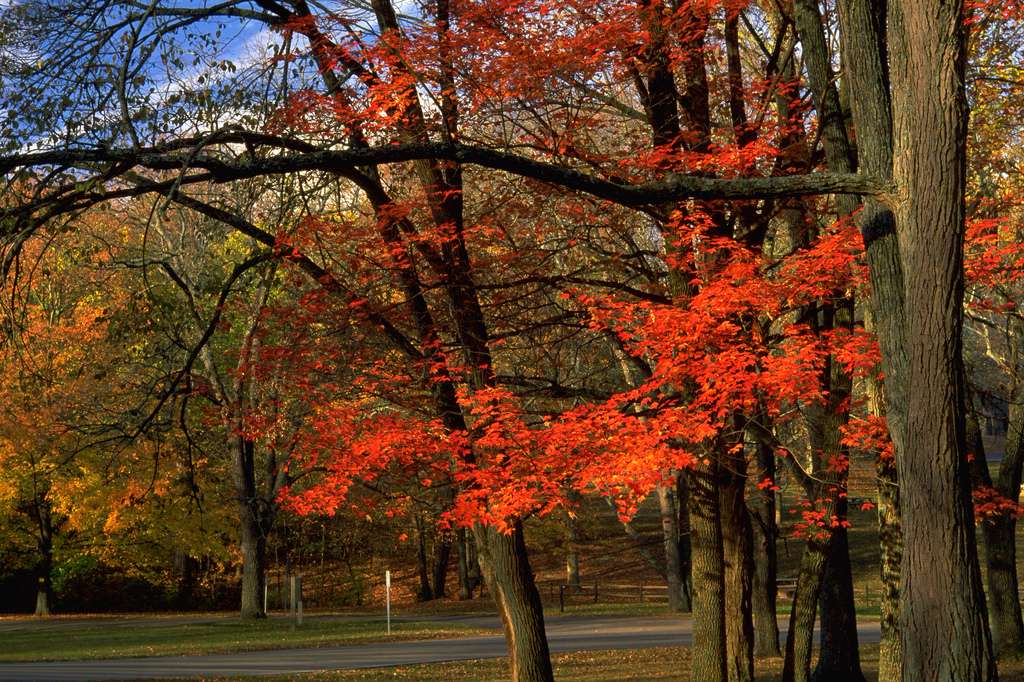 John Bryan Campground