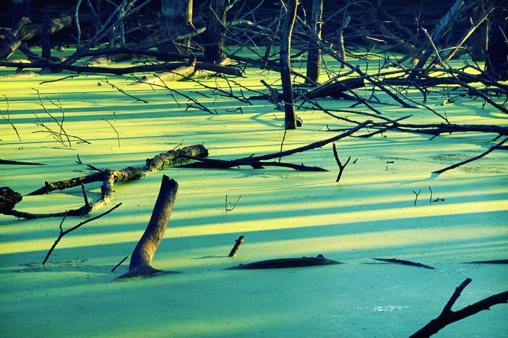 Kiser Lake State Park