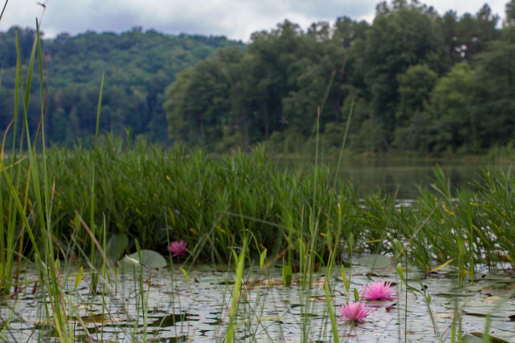 Lake Hope Campground