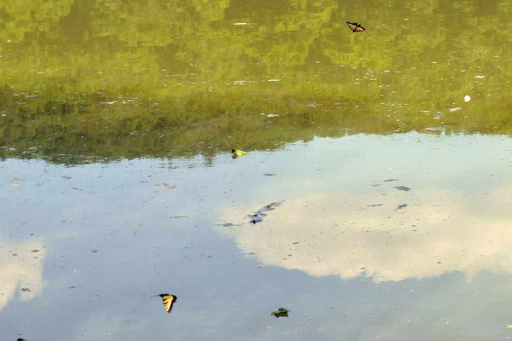 Pike Lake State Park