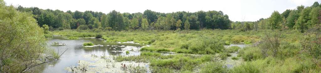 Pymatuning State Park OH