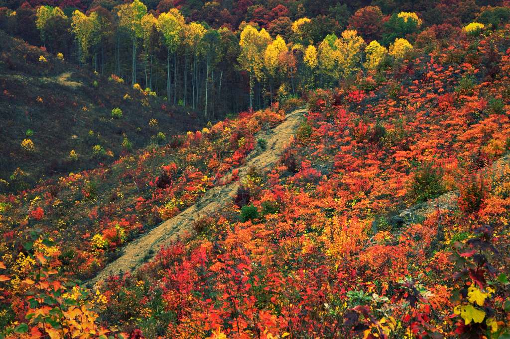 Shawnee State Park OH