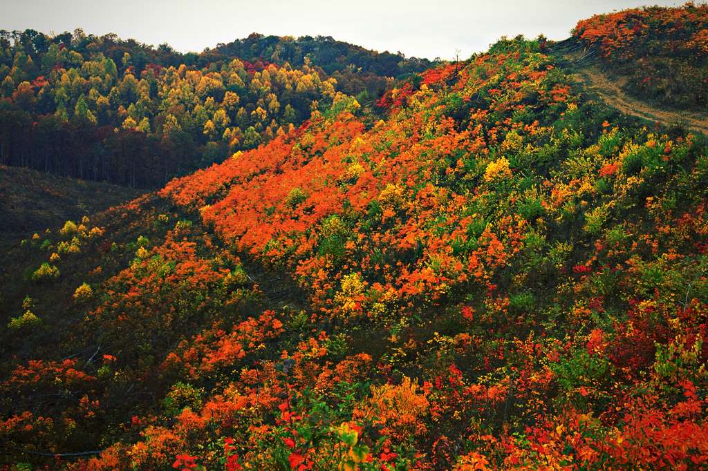 Shawnee State Park OH