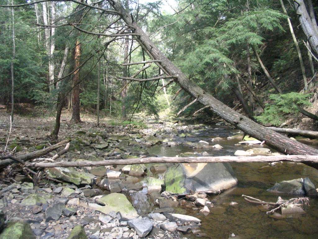 Shawnee State Park OH
