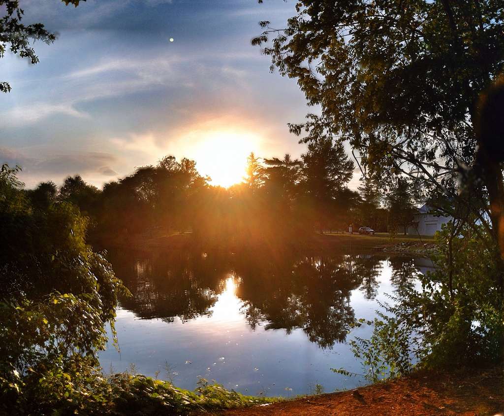 Sycamore State Park