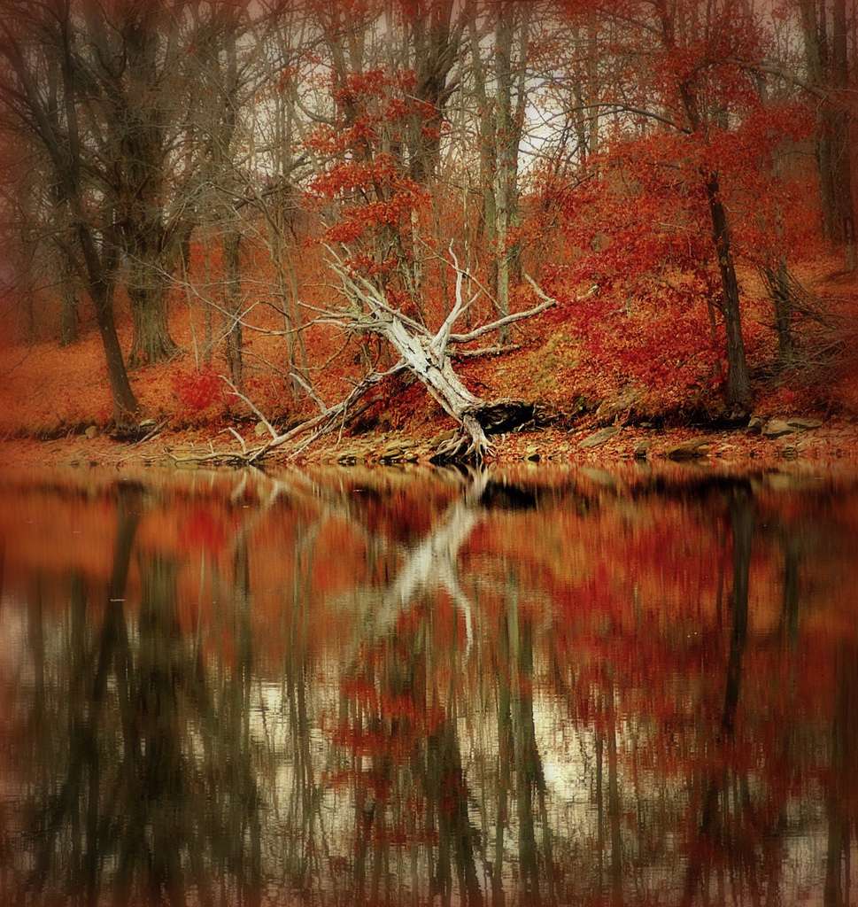 Wolf Run State Park