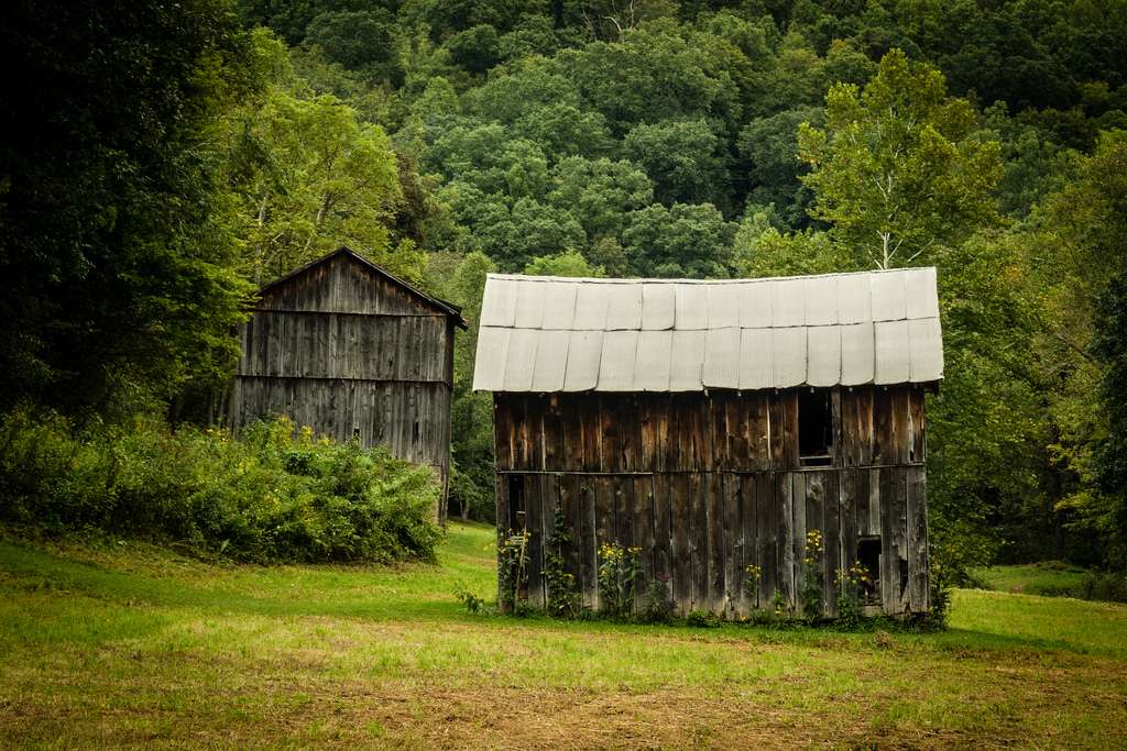 Burr Oak Cove Campground
