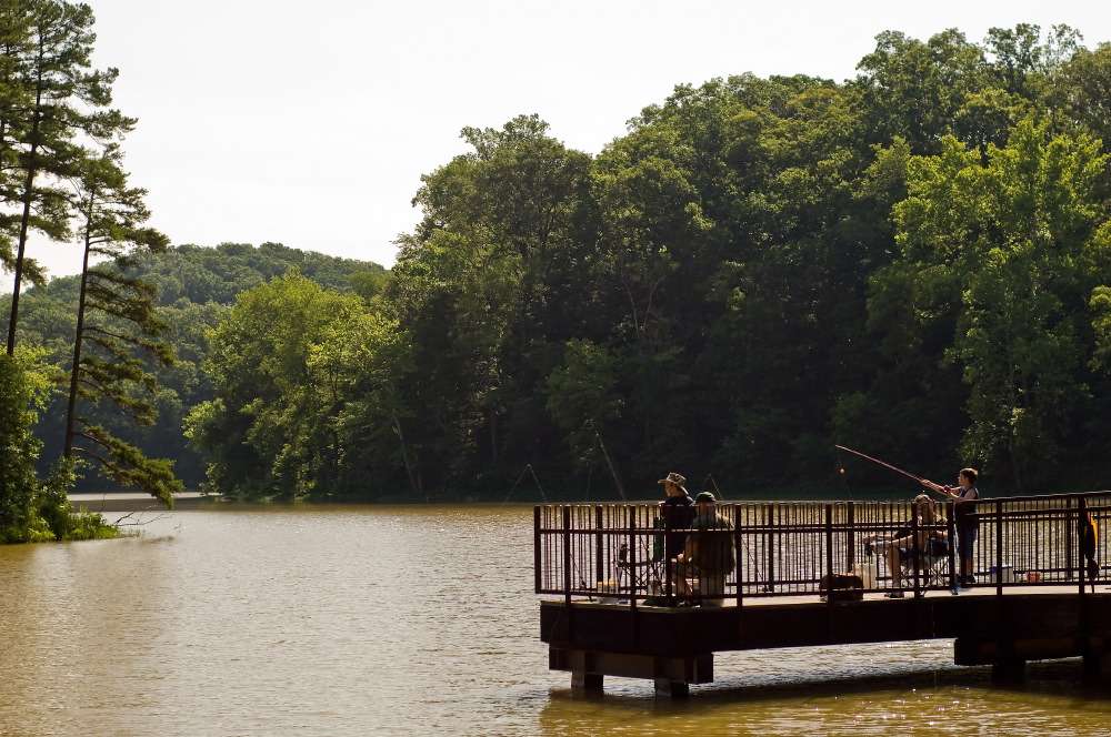 Wayne National Forest