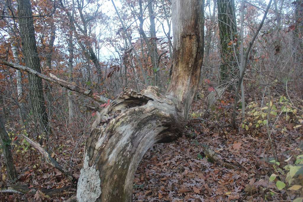 Blue Mound Campground