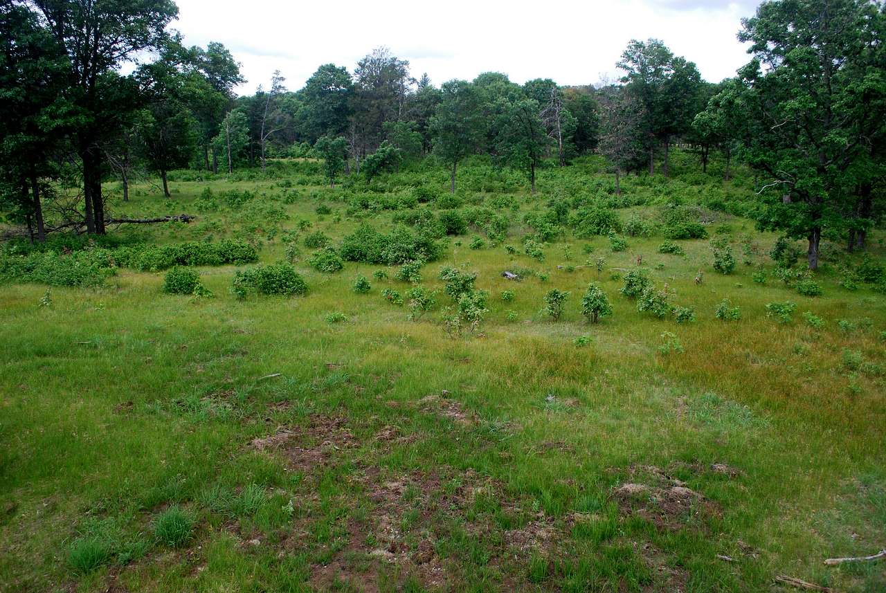 Buckhorn Campground