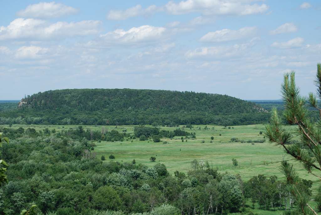 Mill Bluff Campground