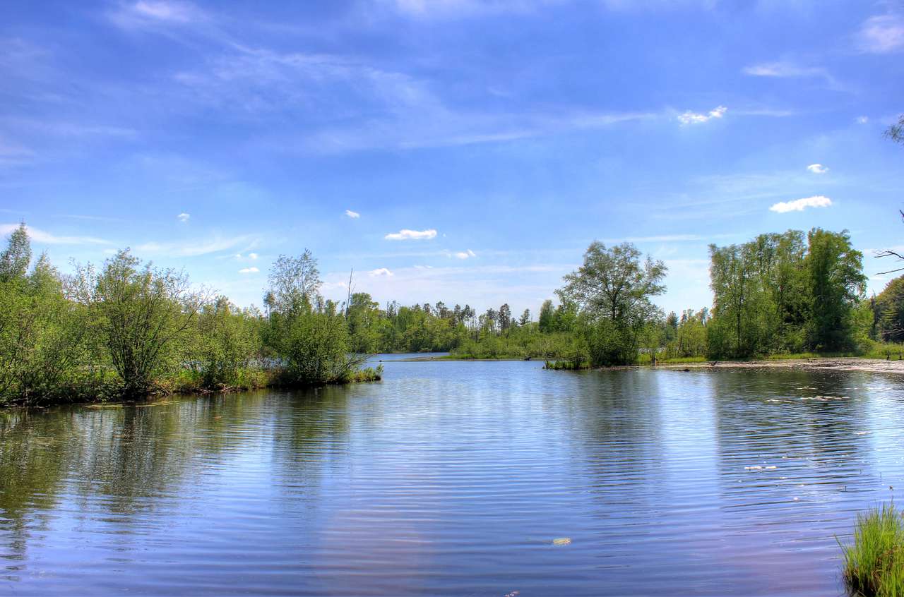 Peshtigo River State Forest
