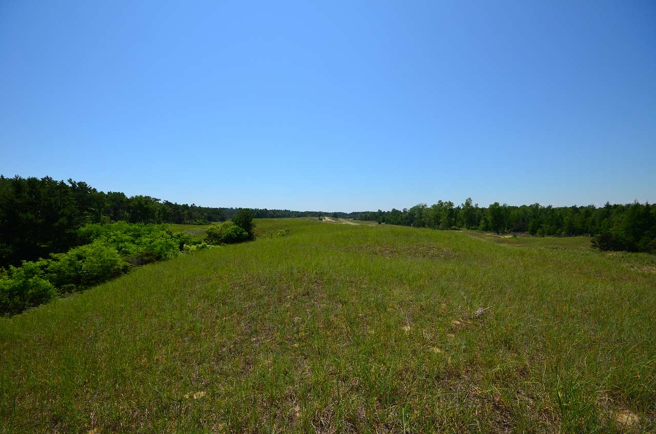 Point Beach State Forest