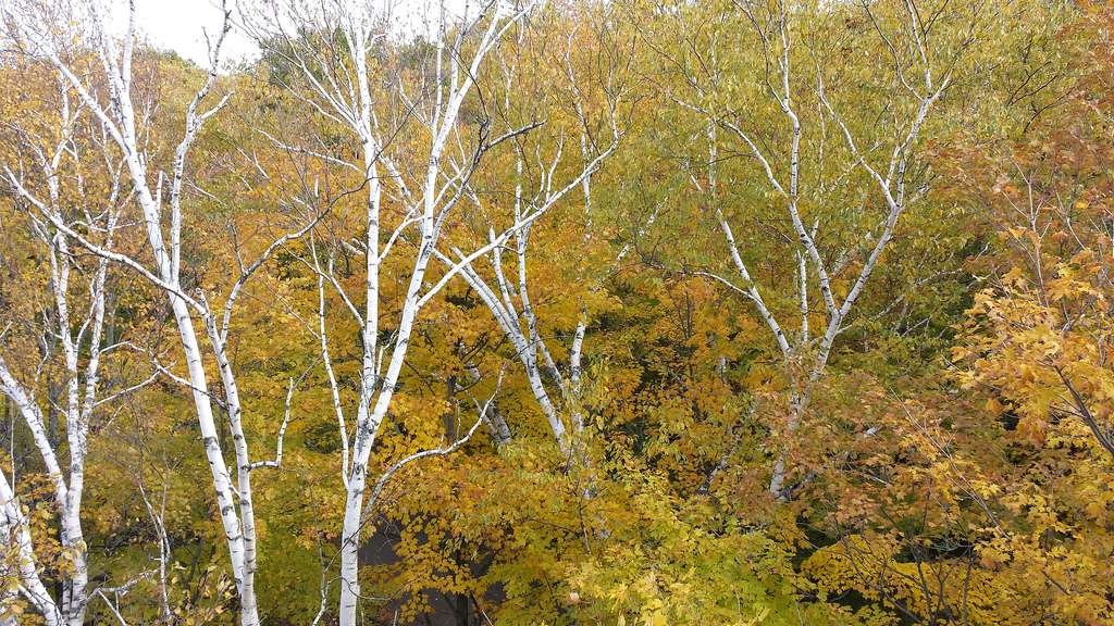 Potawatomi State Park