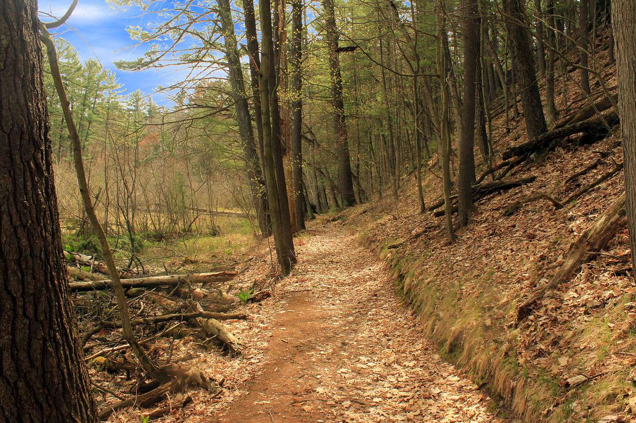 Rocky Arbor Campground