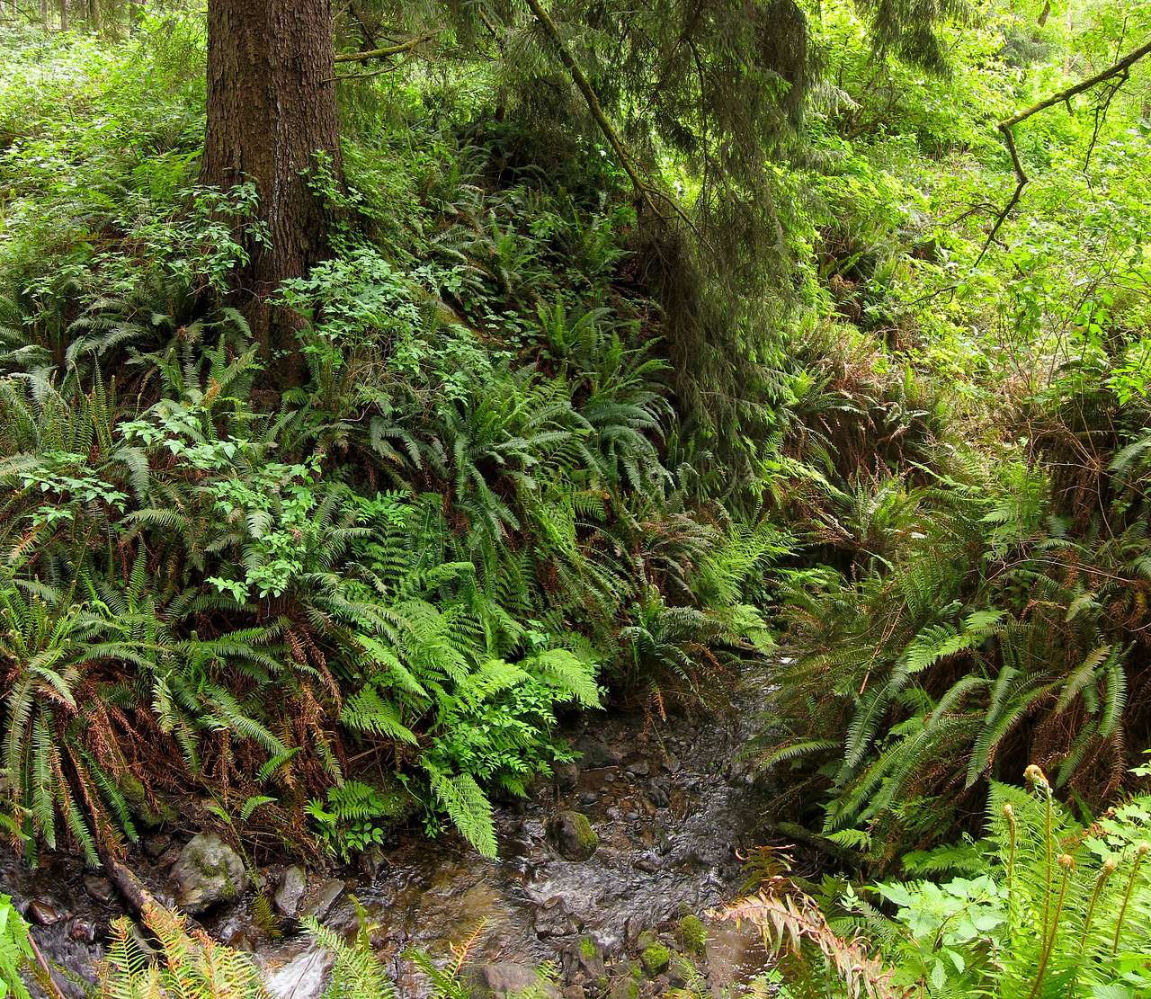Penn Creek Campground