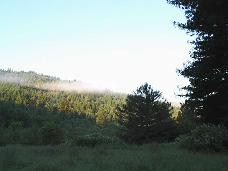 Albee Creek Campground
