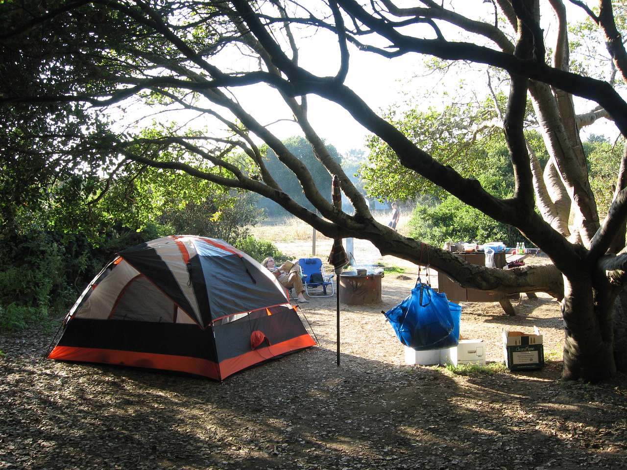 Lupine Camps