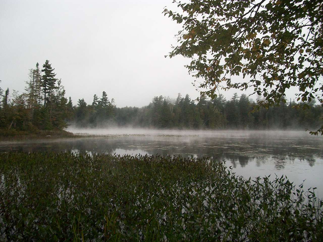 Glen Island Group Campground