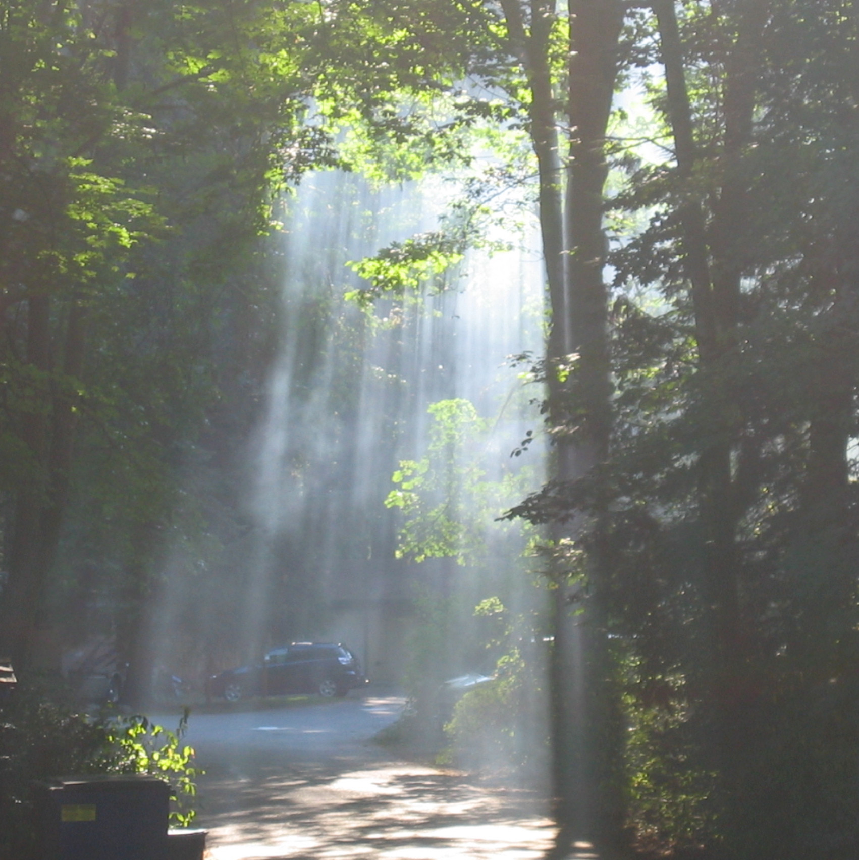Belfair Main Loop Campground