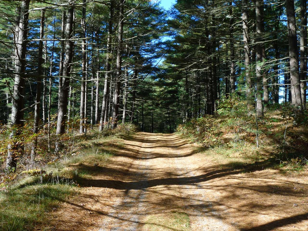 Myles Standish Campground