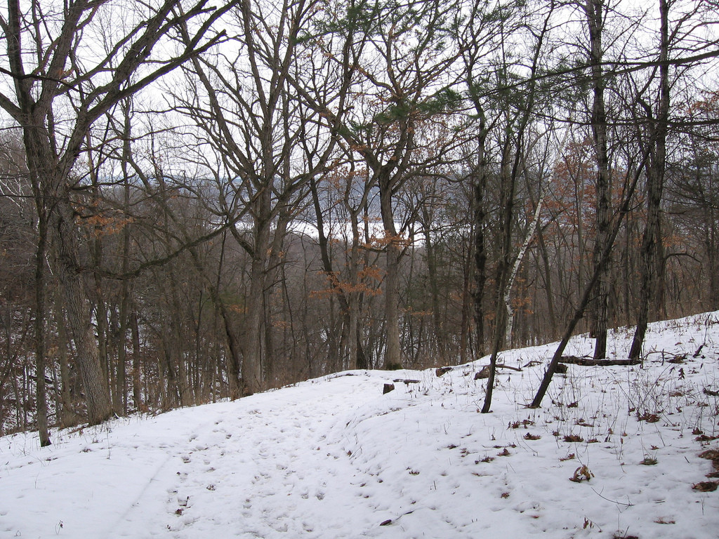 Afton Campground