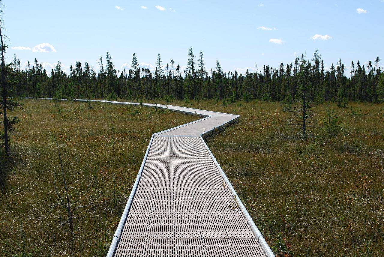 Big Bog Campground