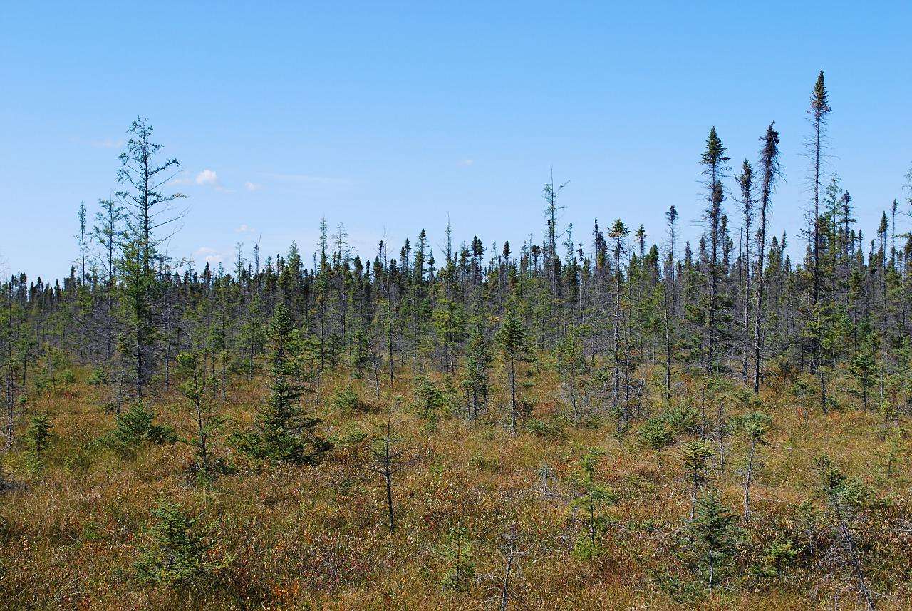 Big Bog Campground