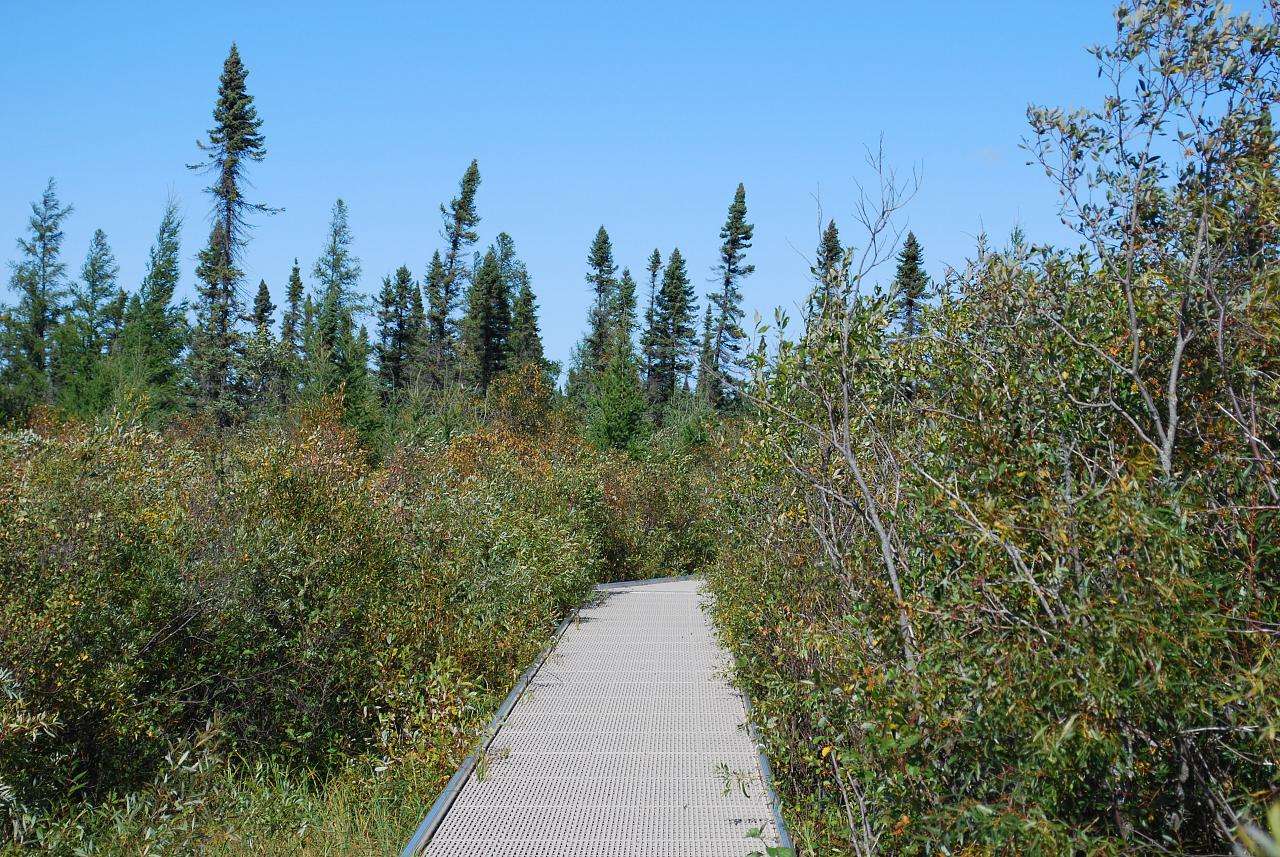 Big Bog Campground