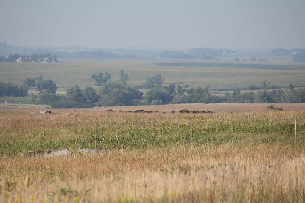 Blue Mounds Campground