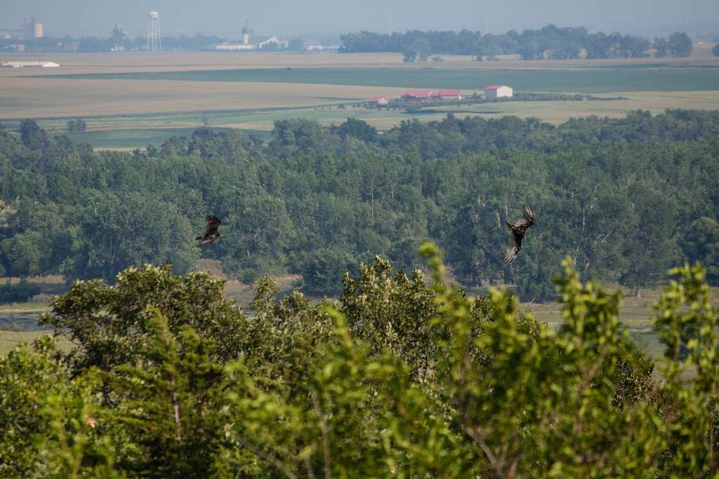 Blue Mounds Campground