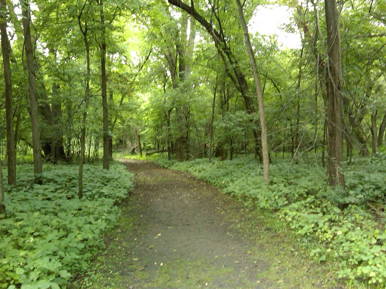 Flandrau Campground