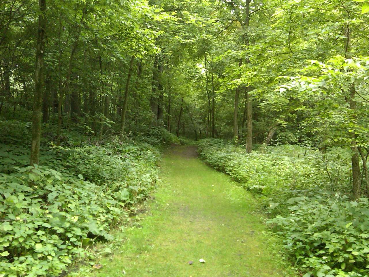 Flandrau Campground