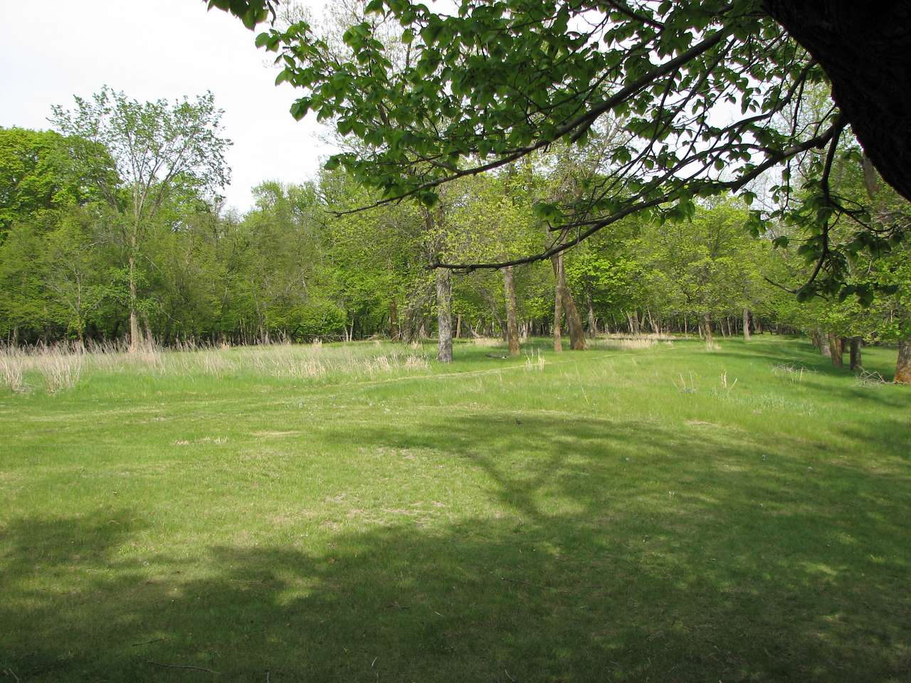 Glendalough Campground